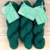 Robuste : fil de laine mérinos et nylon coloris Vert impérial